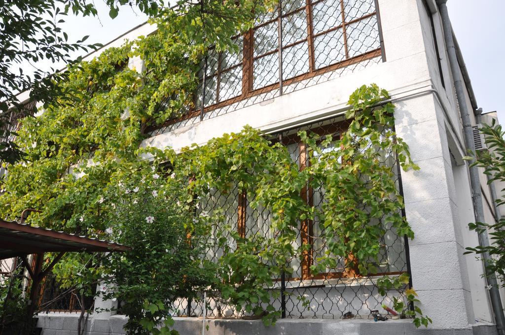 Villa Ivana Odessa Buitenkant foto